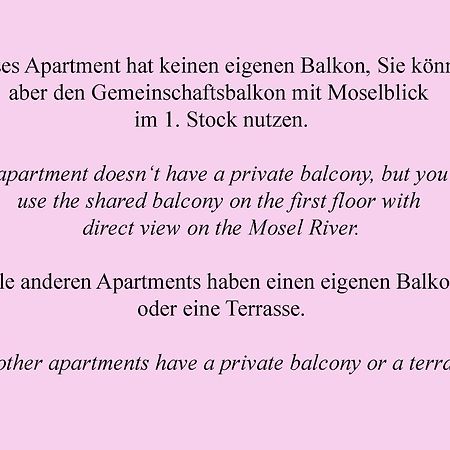 Weingut Im Moselkrampen Apartment Ellenz-Poltersdorf Ngoại thất bức ảnh