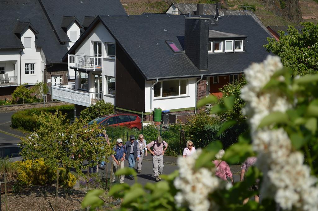 Weingut Im Moselkrampen Apartment Ellenz-Poltersdorf Ngoại thất bức ảnh