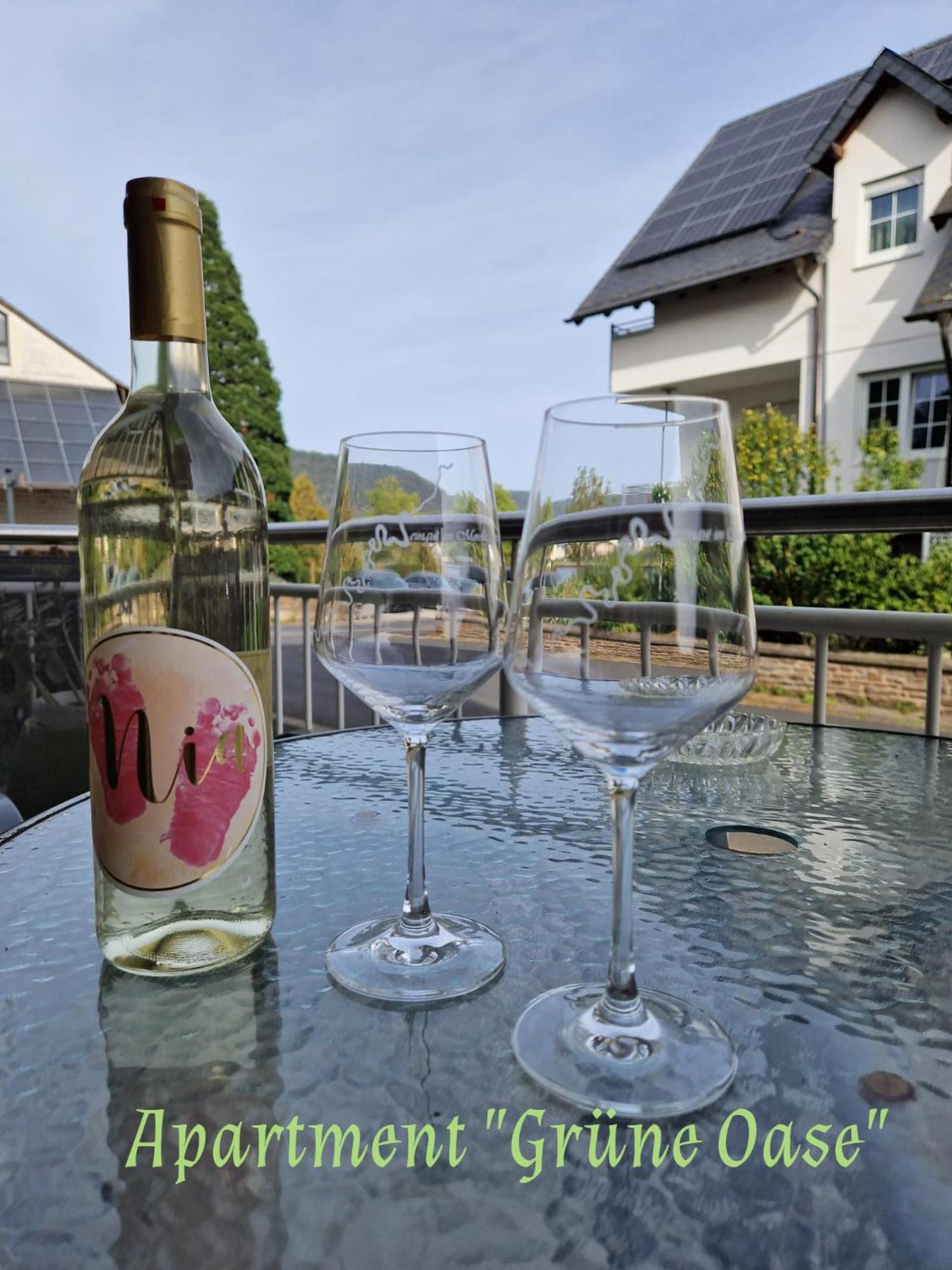 Weingut Im Moselkrampen Apartment Ellenz-Poltersdorf Ngoại thất bức ảnh